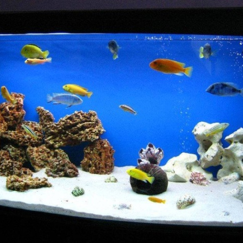 Применение